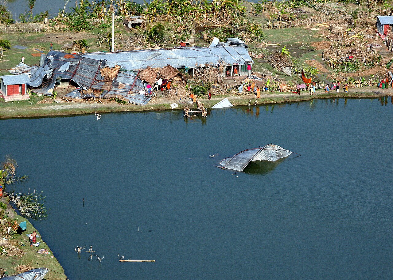 সেবার ছবি 5