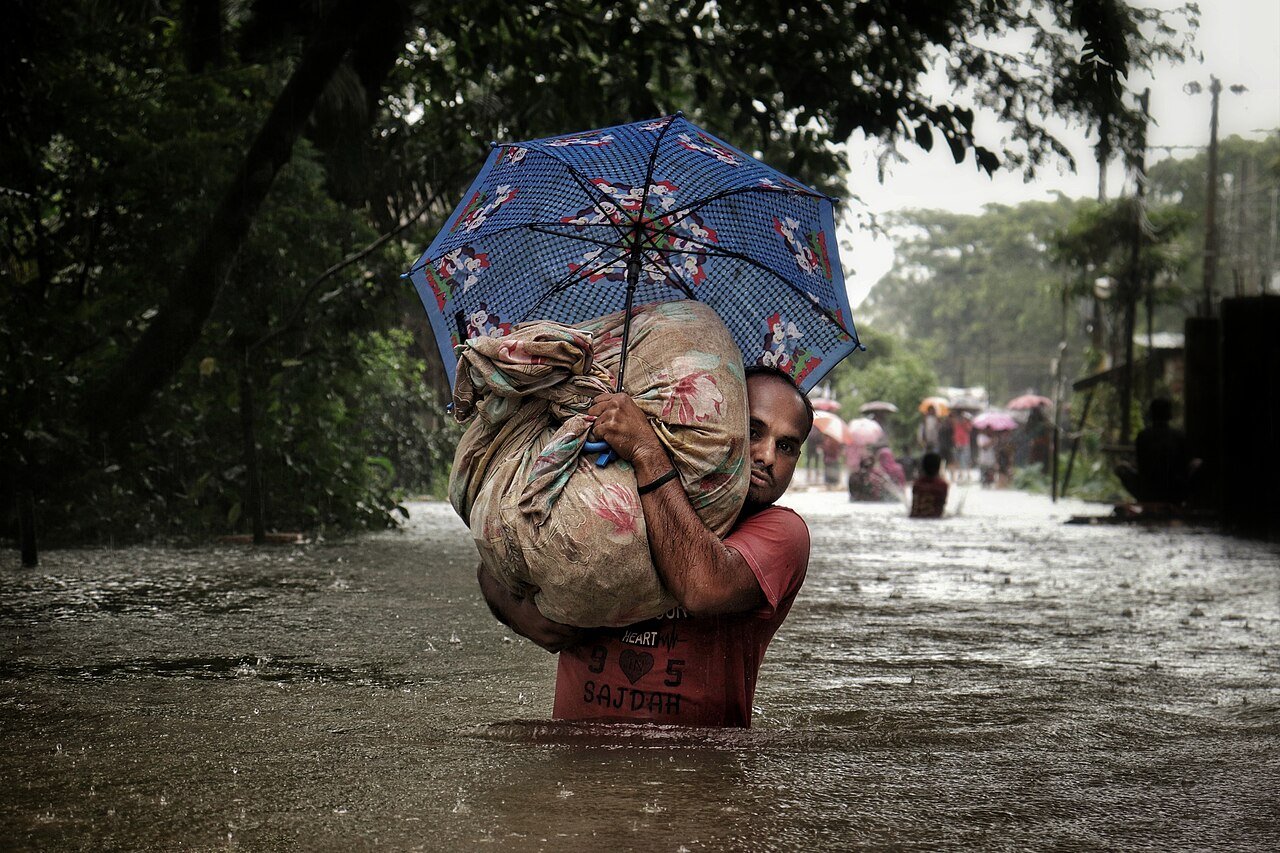 সেবার ছবি 2