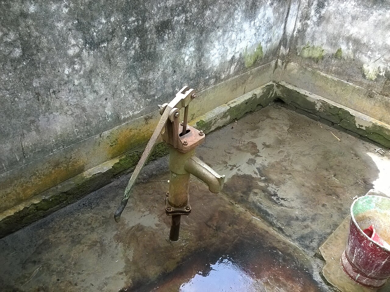 ছবি 8